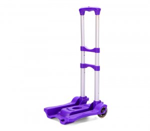 Folding Luggage Cart